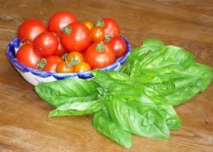 tomatoes and fresh basil