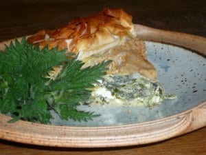 A slice of Nettle & courgette filo pie