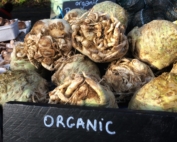 An image of celeriac roots in a crate