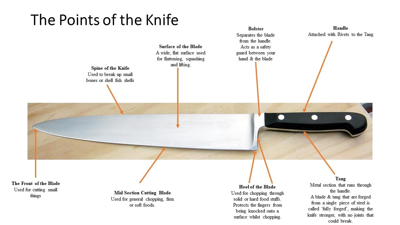 An image of a cooks knife with pointers to what the various parts are used for.