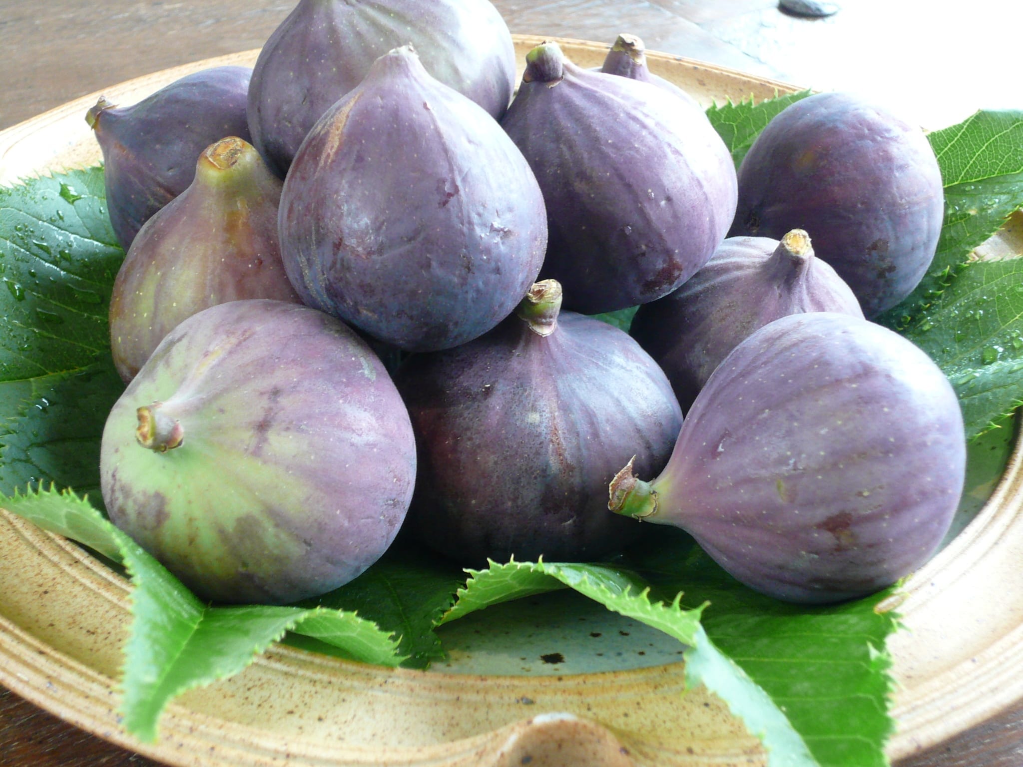 A plate of a dozen fresh, purple figs