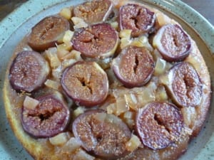Upside down tart made with fresh fig halves cooked with stem ginger and ginger sponge