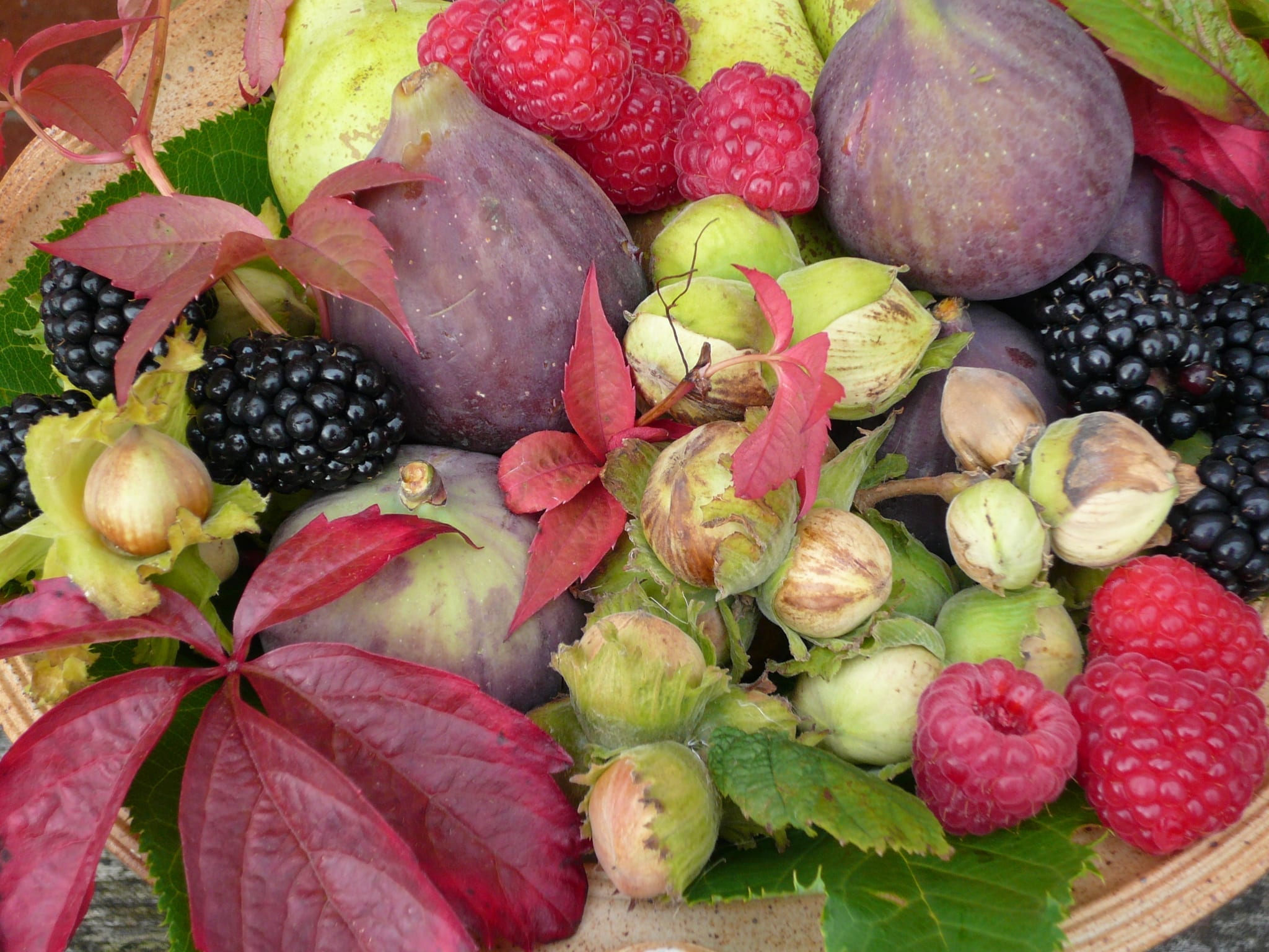 An arrangement of autumn fruits including wild hazelnuts, raspberries, blackberries, figs, pears and decorated with Virginia Creeper