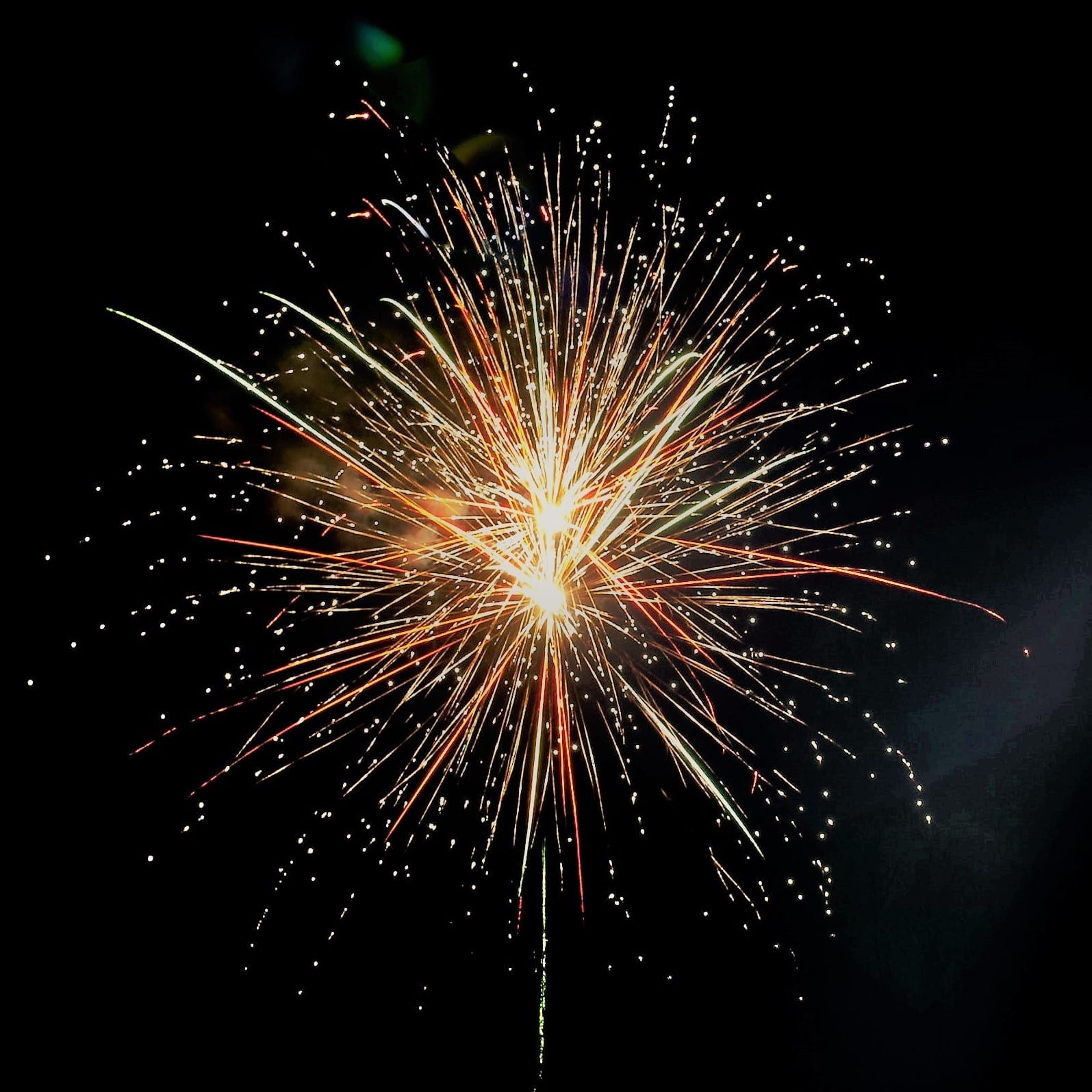 A firework lighting up the sky