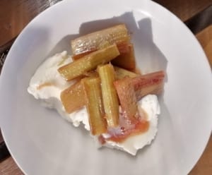 A bowl of roast gingered rhubarb served with ice cream