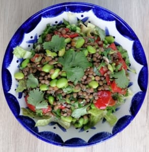 An image of a bowl of green lentil salad with Thai dressing