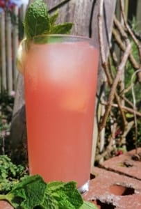 An image of a glass of water melon, elderflower & gin fizz cooler